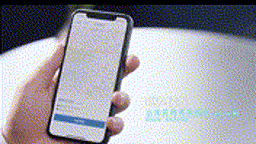 8 00_00_00-00_00_30 00_00_00-00_00_30.gif