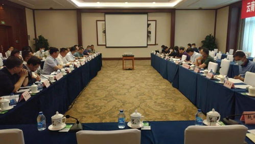 桃源水庫(kù)工程可行性研究報(bào)告技術(shù)咨詢(xún)會(huì)在京圓滿(mǎn)召開(kāi)